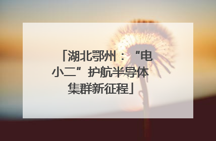 湖北鄂州：“电小二”护航半导体集群新征程