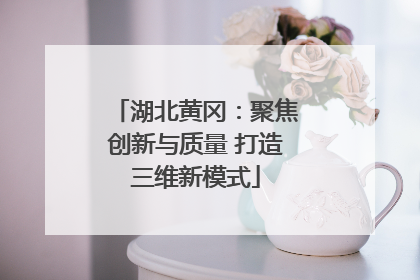 湖北黄冈：聚焦创新与质量 打造三维新模式