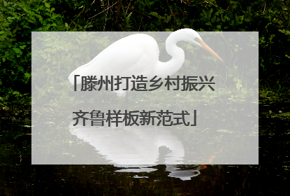 滕州打造乡村振兴齐鲁样板新范式