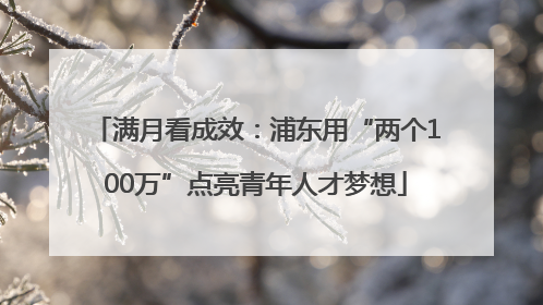 满月看成效：浦东用“两个100万”点亮青年人才梦想