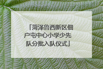 菏泽鲁西新区佃户屯中心小学少先队分批入队仪式