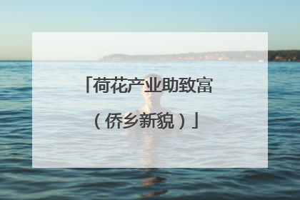荷花产业助致富（侨乡新貌）