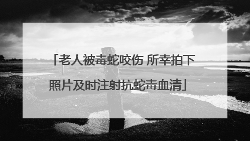老人被毒蛇咬伤 所幸拍下照片及时注射抗蛇毒血清