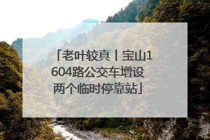 老叶较真丨宝山1604路公交车增设两个临时停靠站