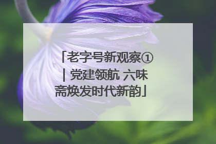 老字号新观察①｜党建领航 六味斋焕发时代新韵