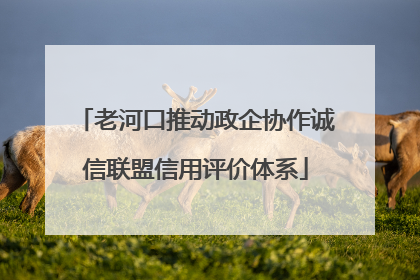 老河口推动政企协作诚信联盟信用评价体系
