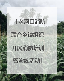 老河口消防联合乡镇组织开展消防培训暨演练活动
