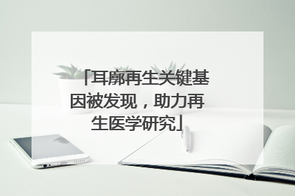 耳廓再生关键基因被发现，助力再生医学研究