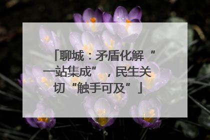 聊城：矛盾化解“一站集成”，民生关切“触手可及”
