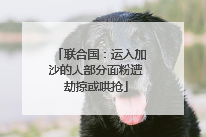 联合国：运入加沙的大部分面粉遭劫掠或哄抢