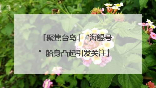 聚焦台岛│“海鲲号”船身凸起引发关注