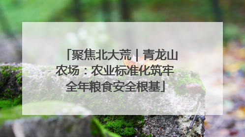 聚焦北大荒｜青龙山农场：农业标准化筑牢全年粮食安全根基