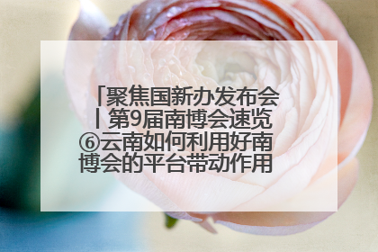聚焦国新办发布会丨第9届南博会速览⑥云南如何利用好南博会的平台带动作用，深化与南亚国家的交流与合作？