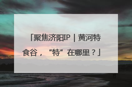 聚焦济阳IP｜黄河特食谷，“特”在哪里？