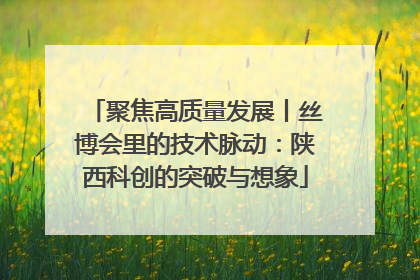 聚焦高质量发展丨丝博会里的技术脉动：陕西科创的突破与想象