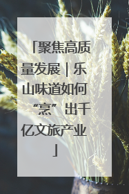 聚焦高质量发展｜乐山味道如何“烹”出千亿文旅产业