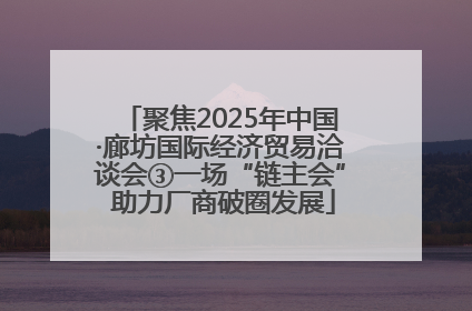聚焦2025年中国·廊坊国际经济贸易洽谈会③一场“链主会” 助力厂商破圈发展