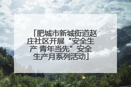 肥城市新城街道赵庄社区开展“安全生产 青年当先”安全生产月系列活动
