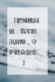 肥城桃园镇：筑牢防汛屏障，守护群众安全