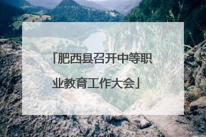 肥西县召开中等职业教育工作大会