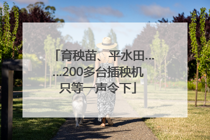育秧苗、平水田……200多台插秧机只等一声令下