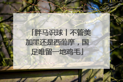 胖马识球丨不管美加墨还是西葡摩，国足唯留一地鸡毛
