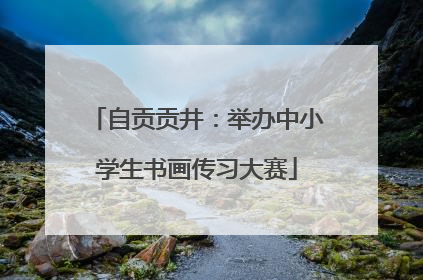 自贡贡井：举办中小学生书画传习大赛