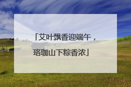 艾叶飘香迎端午，珞珈山下粽香浓