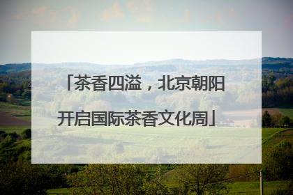 茶香四溢，北京朝阳开启国际茶香文化周