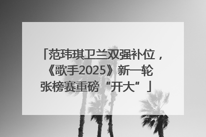 范玮琪卫兰双强补位，《歌手2025》新一轮张榜赛重磅“开大”