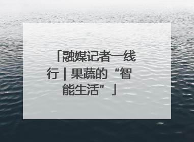 融媒记者一线行｜果蔬的“智能生活”