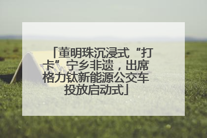董明珠沉浸式“打卡”宁乡非遗，出席格力钛新能源公交车投放启动式