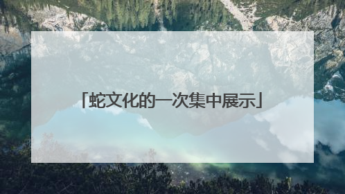 蛇文化的一次集中展示