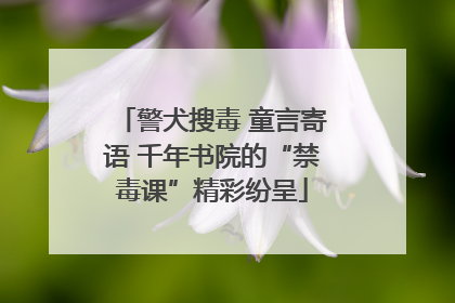 警犬搜毒 童言寄语 千年书院的“禁毒课”精彩纷呈