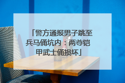 警方通报男子跳至兵马俑坑内：两尊铠甲武士俑损坏
