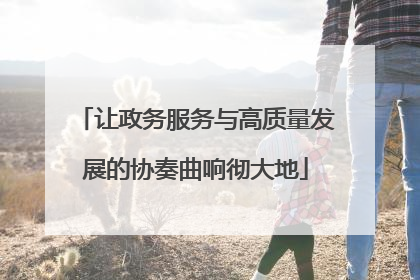 让政务服务与高质量发展的协奏曲响彻大地