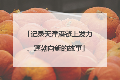 记录天津港链上发力、蓬勃向新的故事