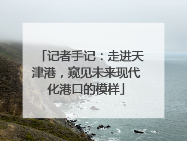 记者手记：走进天津港，窥见未来现代化港口的模样