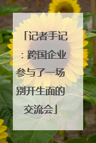 记者手记：跨国企业参与了一场别开生面的交流会