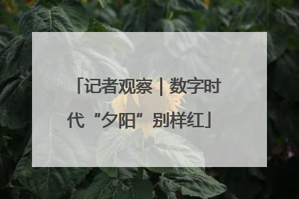 记者观察｜数字时代“夕阳”别样红