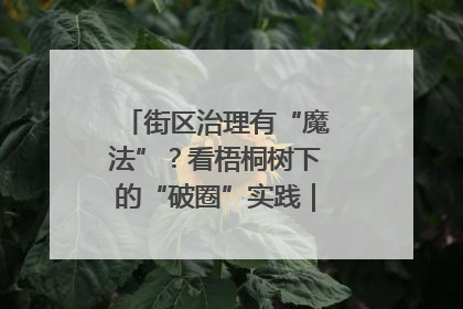 街区治理有“魔法”？看梧桐树下的“破圈”实践｜我在街区当书记