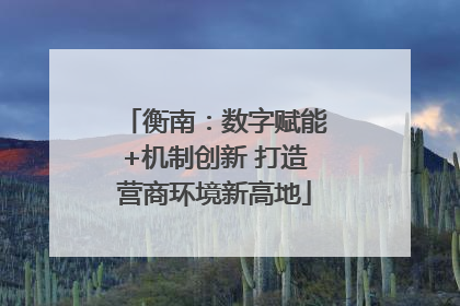 衡南：数字赋能+机制创新 打造营商环境新高地