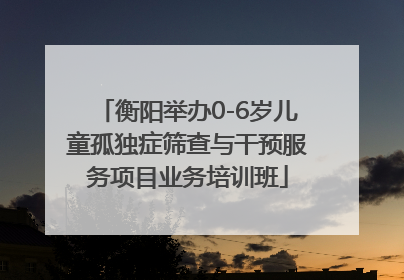 衡阳举办0-6岁儿童孤独症筛查与干预服务项目业务培训班