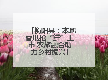 衡阳县：本地香瓜抢“鲜”上市 农旅融合助力乡村振兴