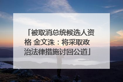 被取消总统候选人资格 金文洙:将采取政治法律措施讨回公道