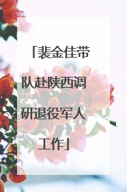 裴金佳带队赴陕西调研退役军人工作