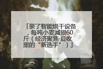 装了智能烘干设备，每吨小麦减损60斤（经济聚焦·夏收里的“新选手”）