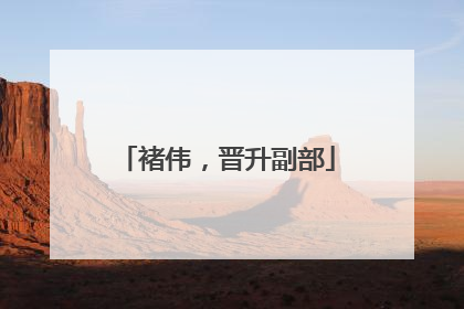 褚伟，晋升副部