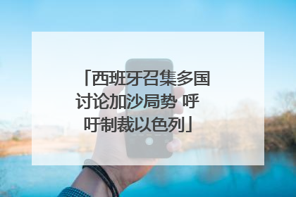 西班牙召集多国讨论加沙局势 呼吁制裁以色列