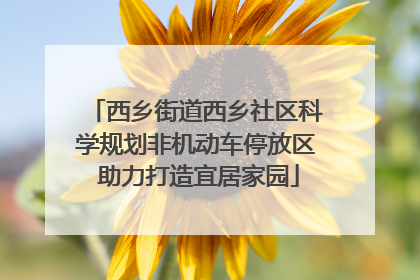 西乡街道西乡社区科学规划非机动车停放区 助力打造宜居家园